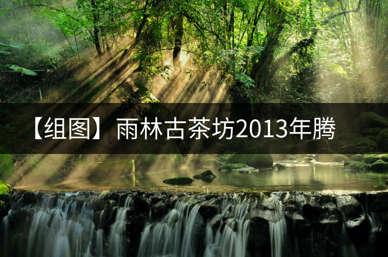 【組圖】雨林古茶坊2013年騰蛟起鳳開(kāi)湯 【組圖】雨林古茶坊2013年騰蛟起鳳開(kāi)湯