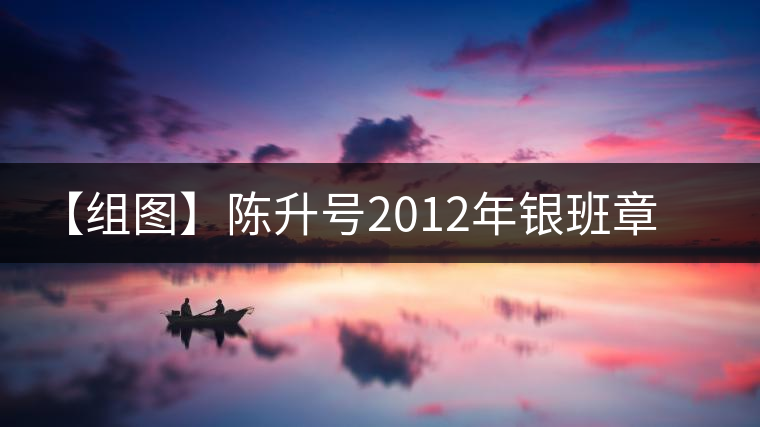 【組圖】陳升號2012年銀班章磚茶開湯