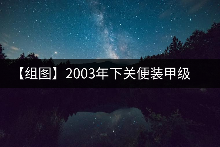 【組圖】2003年下關(guān)便裝甲級(jí)沱茶開湯