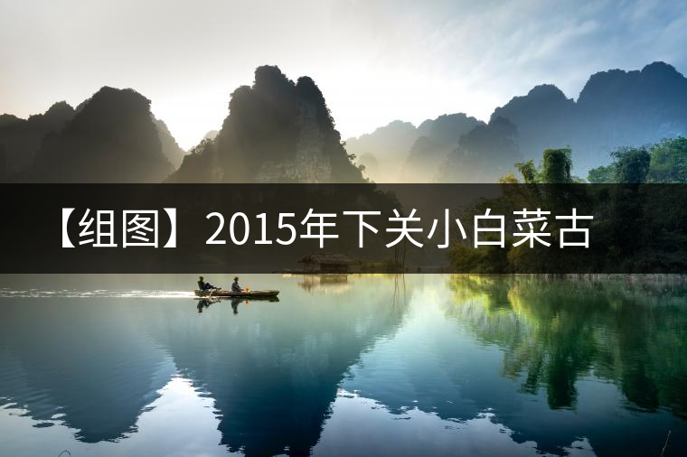 【組圖】2015年下關小白菜古樹茶開湯 【組圖】2015年下關小白菜古樹茶開湯
