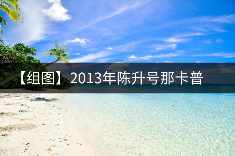 【組圖】2013年陳升號(hào)那卡普洱茶開(kāi)湯 【組圖】2013年陳升號(hào)那卡普洱茶開(kāi)湯