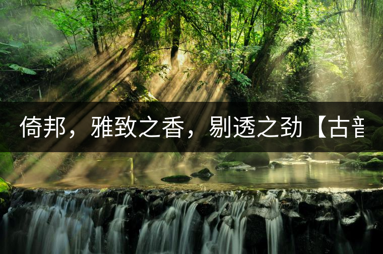 倚邦，雅致之香，剔透之勁【古普十二山品鑒】