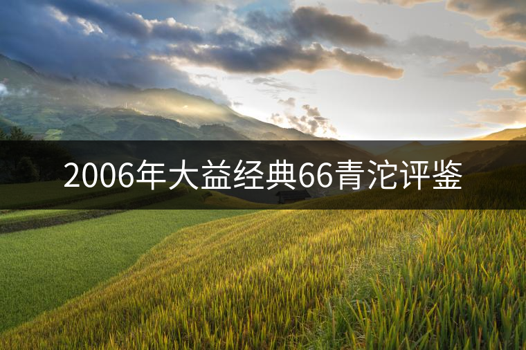 2006年大益經(jīng)典66青沱評鑒 2006年大益經(jīng)典66青沱評鑒