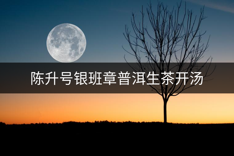 陳升號銀班章普洱生茶開湯 陳升號銀班章普洱生茶開湯