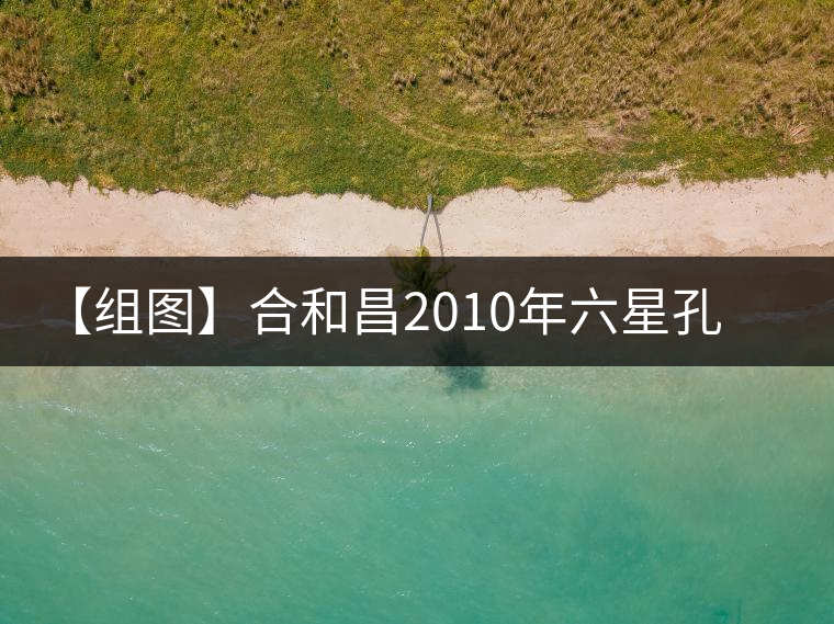 【組圖】合和昌2010年六星孔雀青餅開(kāi)湯 【組圖】合和昌2010年六星孔雀青餅開(kāi)湯