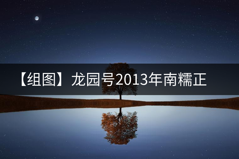 【組圖】龍園號(hào)2013年南糯正山小餅開湯