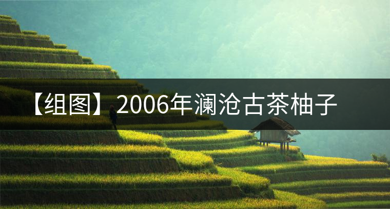 【組圖】2006年瀾滄古茶柚子茶開湯 【組圖】2006年瀾滄古茶柚子茶開湯