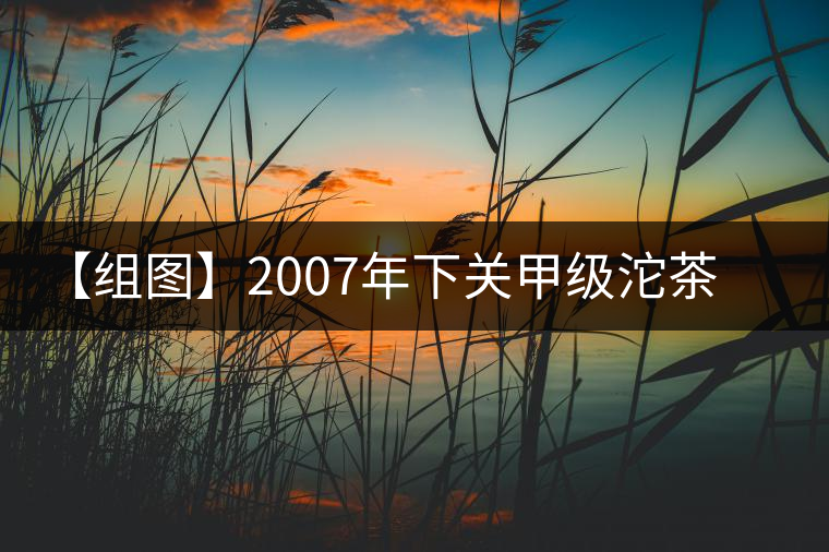 【組圖】2007年下關甲級沱茶開湯