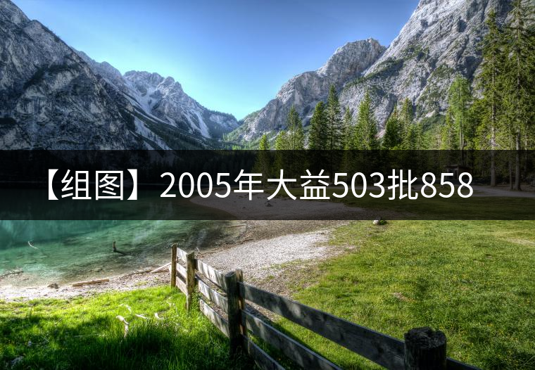 【組圖】2005年大益503批8582開湯 【組圖】2005年大益503批8582開湯