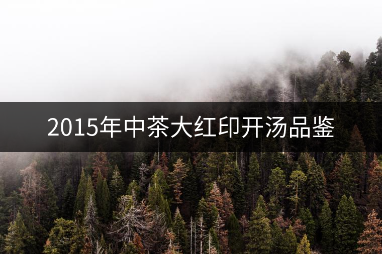 2015年中茶大紅印開(kāi)湯品鑒