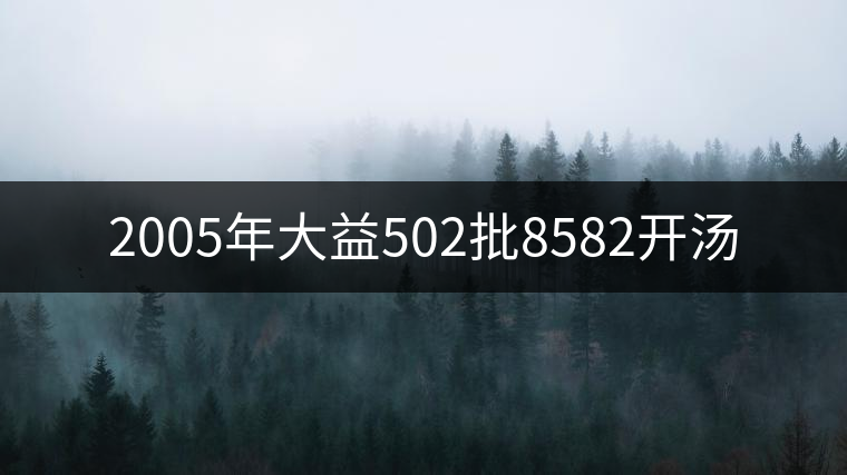 2005年大益502批8582開湯 2005年大益502批8582開湯