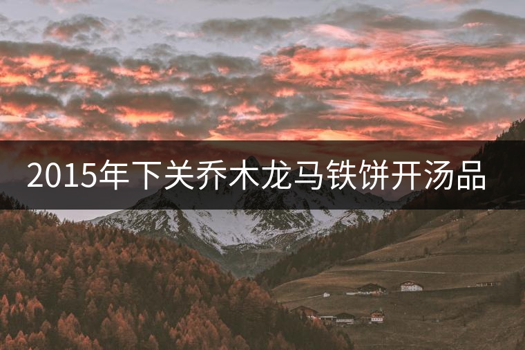 2015年下關喬木龍馬鐵餅開湯品鑒 2015年下關喬木龍馬鐵餅開湯品鑒