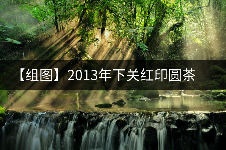 【組圖】2013年下關紅印圓茶開湯 【組圖】2013年下關紅印圓茶開湯
