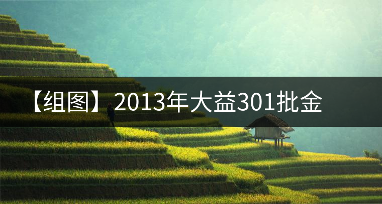 【組圖】2013年大益301批金針白蓮開湯 【組圖】2013年大益301批金針白蓮開湯