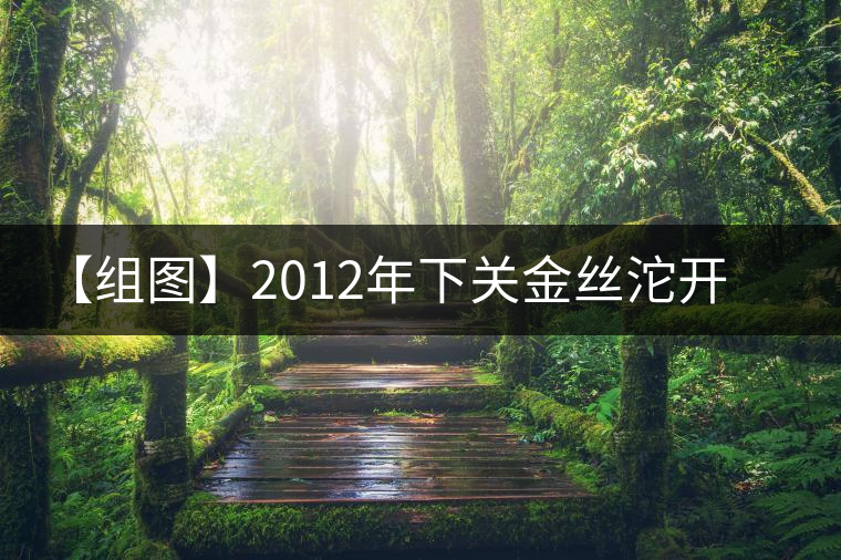 【組圖】2012年下關(guān)金絲沱開湯