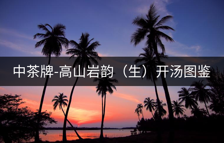中茶牌-高山巖韻(生)開湯圖鑒 中茶牌-高山巖韻(生)開湯圖鑒
