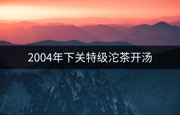 2004年下關(guān)特級沱茶開湯 2004年下關(guān)特級沱茶開湯