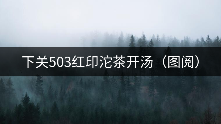 下關(guān)503紅印沱茶開湯(圖閱) 下關(guān)503紅印沱茶開湯(圖閱)