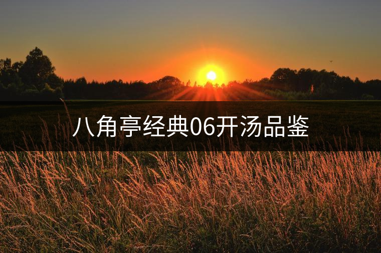 八角亭經(jīng)典06開(kāi)湯品鑒