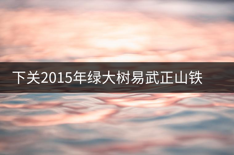下關2015年綠大樹易武正山鐵餅開湯品鑒 下關2015年綠大樹易武正山鐵餅開湯品鑒