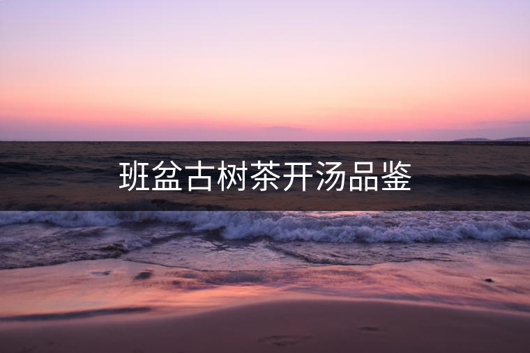 班盆古樹茶開湯品鑒 班盆古樹茶開湯品鑒