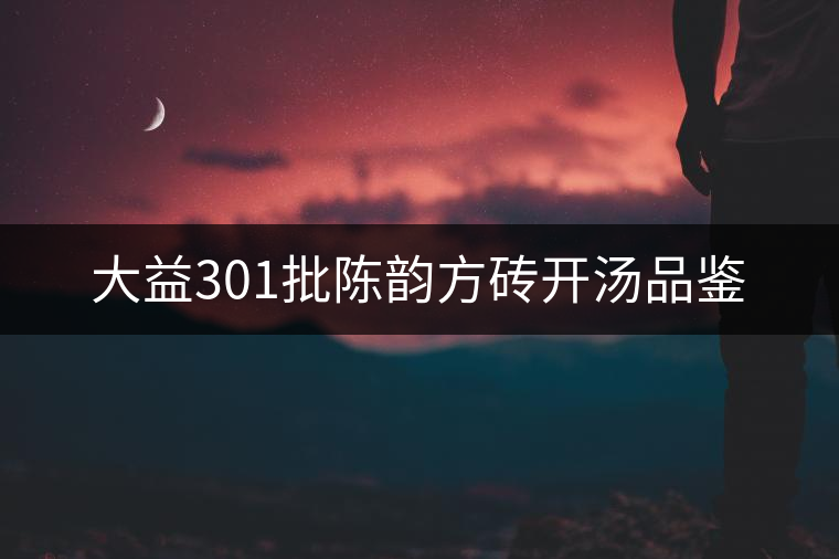 大益301批陳韻方磚開(kāi)湯品鑒