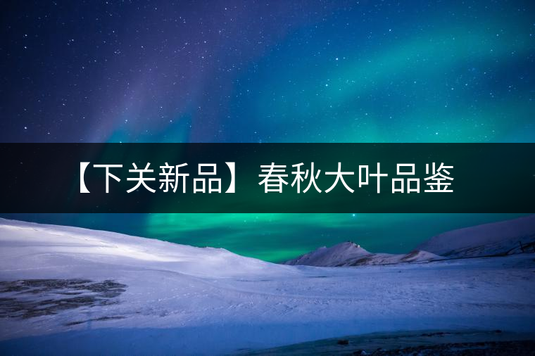 【下關新品】春秋大葉品鑒 【下關新品】春秋大葉品鑒