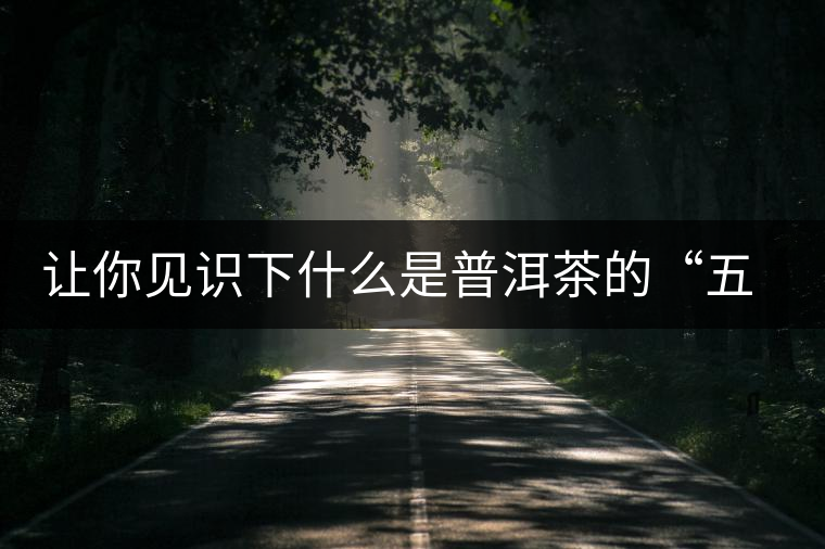讓你見(jiàn)識(shí)下什么是普洱茶的“五六七八九