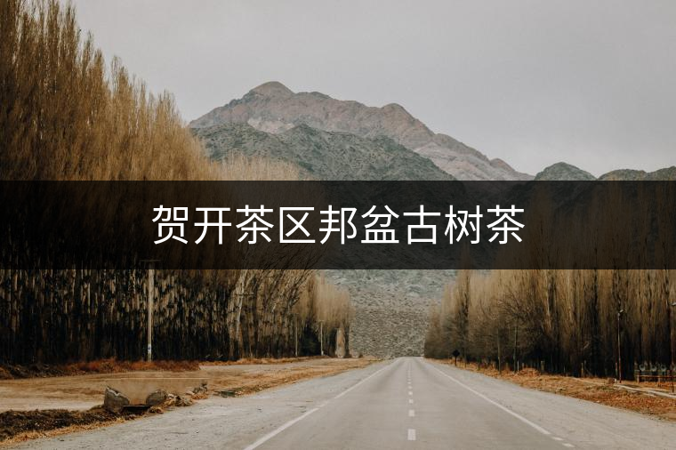 賀開(kāi)茶區(qū)邦盆古樹(shù)茶 賀開(kāi)茶區(qū)邦盆古樹(shù)茶