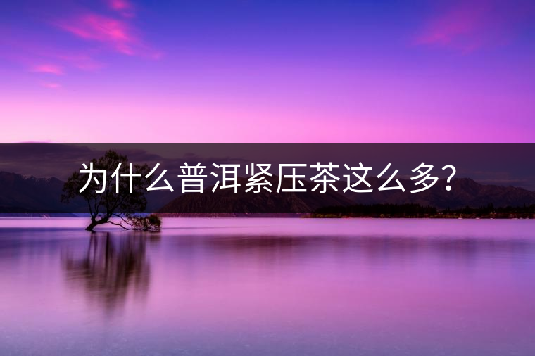 為什么普洱緊壓茶這么多？