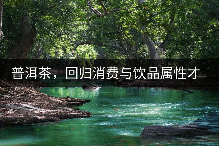 普洱茶,回歸消費(fèi)與飲品屬性才是正途 普洱茶,回歸消費(fèi)與飲品屬性才是正途