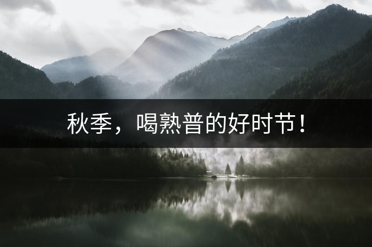 秋季，喝熟普的好時節(jié)！