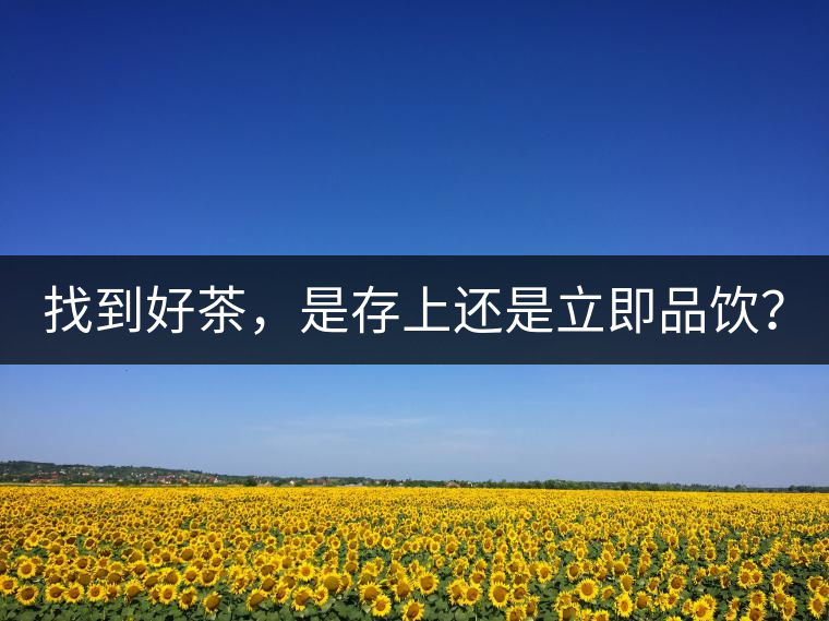 找到好茶，是存上還是立即品飲？