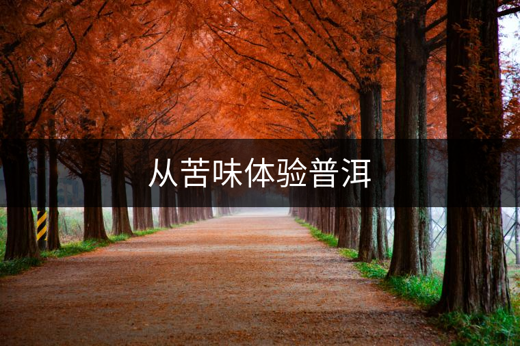 從苦味體驗普洱 從苦味體驗普洱