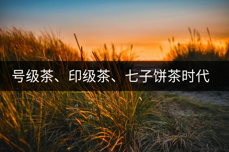 號級茶、印級茶、七子餅茶時代是怎么劃分的？