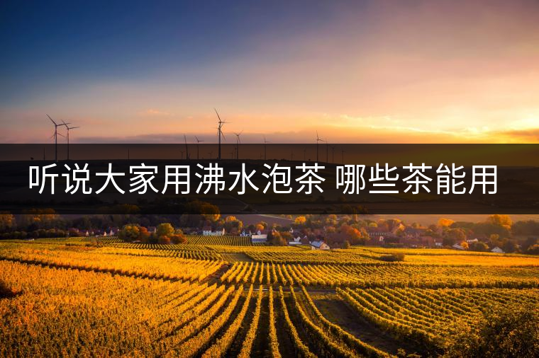 聽說(shuō)大家用沸水泡茶 哪些茶能用沸水泡