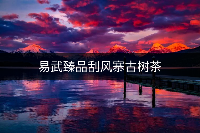 易武臻品刮風(fēng)寨古樹(shù)茶 易武臻品刮風(fēng)寨古樹(shù)茶