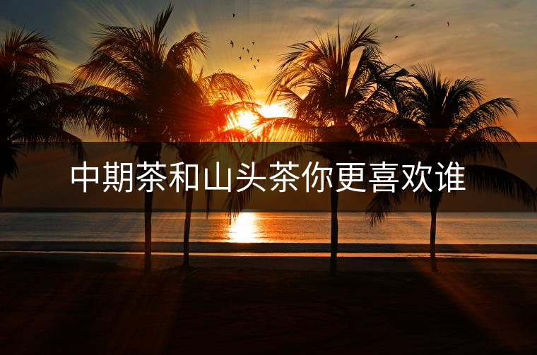 中期茶和山頭茶你更喜歡誰 中期茶和山頭茶你更喜歡誰