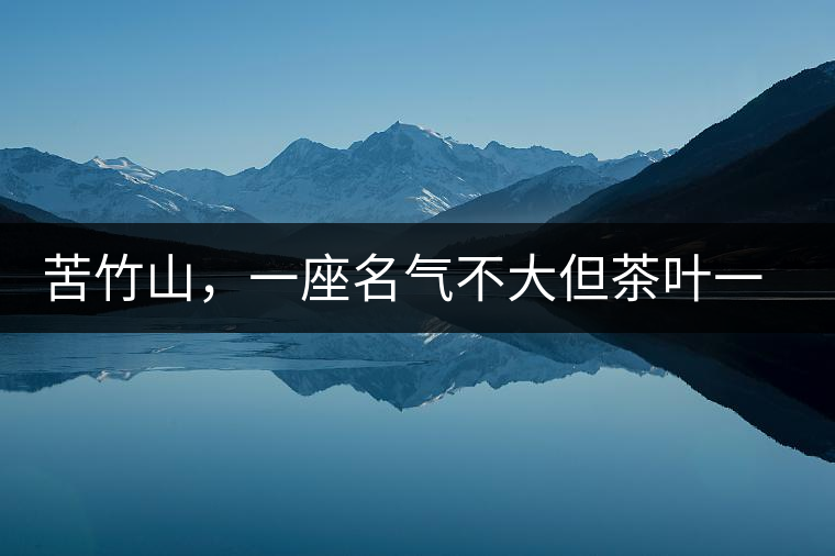 苦竹山，一座名氣不大但茶葉一流的古茶山