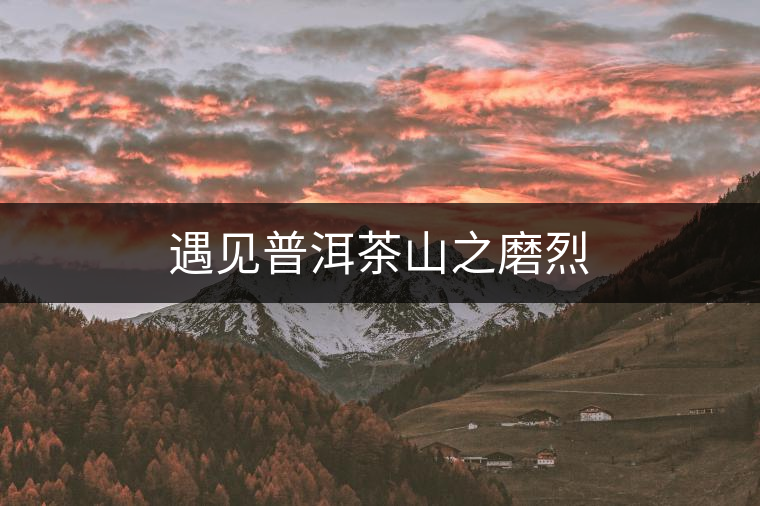 遇見普洱茶山之磨烈 遇見普洱茶山之磨烈