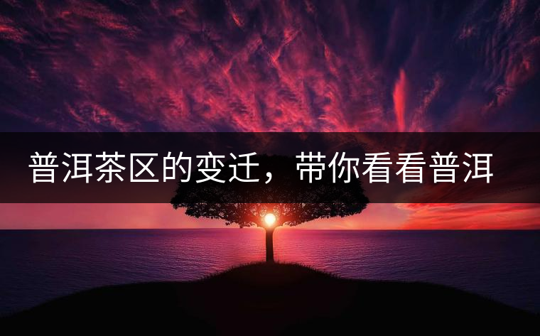 普洱茶區(qū)的變遷，帶你看看普洱茶地域分布