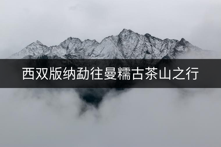 西雙版納勐往曼糯古茶山之行 西雙版納勐往曼糯古茶山之行
