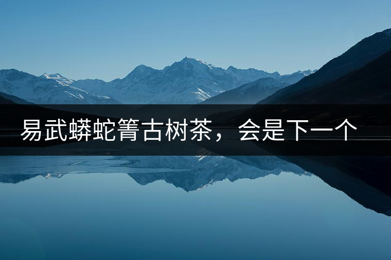 易武蟒蛇箐古樹(shù)茶，會(huì)是下一個(gè)銅箐河嗎？