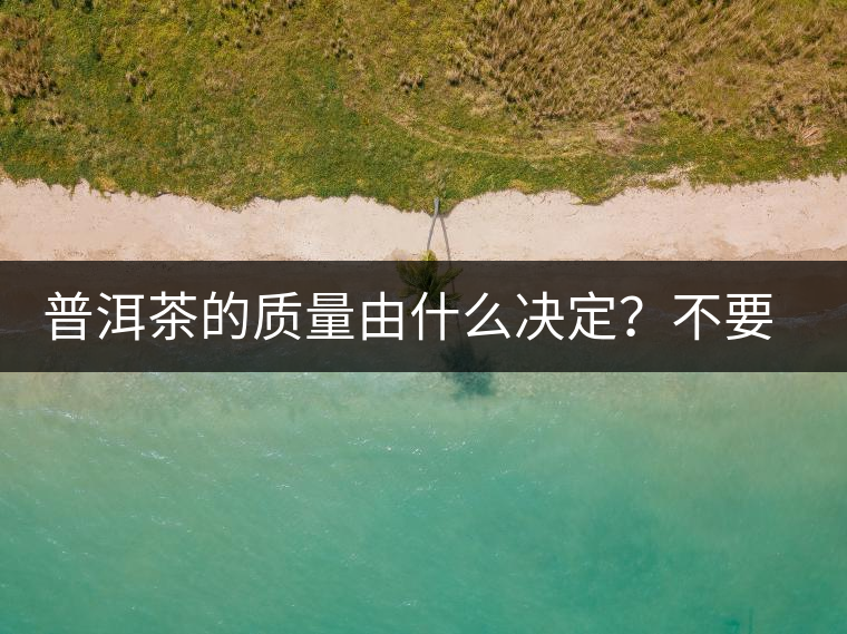 普洱茶的質(zhì)量由什么決定？不要輕信等級