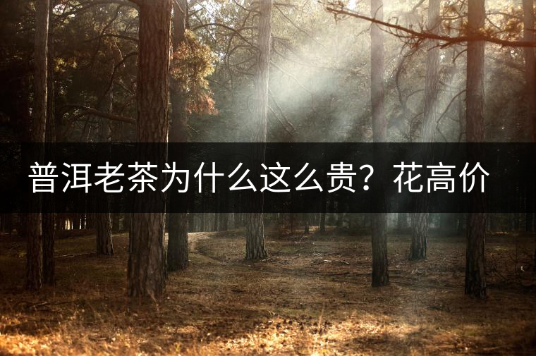 普洱老茶為什么這么貴？花高價(jià)買值嗎？