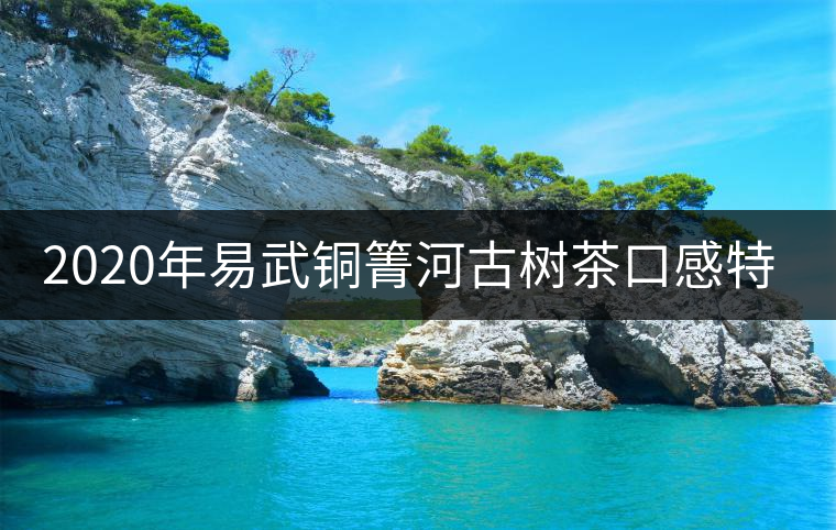 2020年易武銅箐河古樹茶口感特點和價格 2020年易武銅箐河古樹茶口感特點和價格