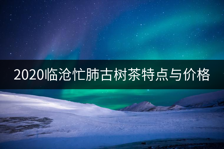 2020臨滄忙肺古樹茶特點(diǎn)與價(jià)格