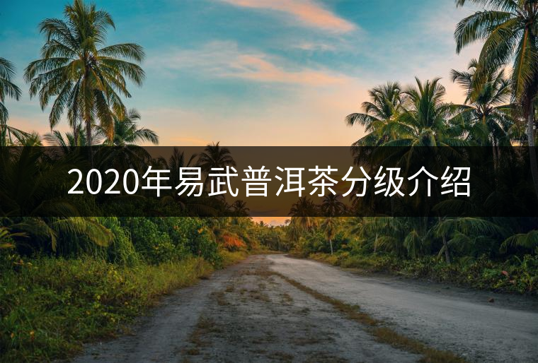 2020年易武普洱茶分級(jí)介紹 2020年易武普洱茶分級(jí)介紹