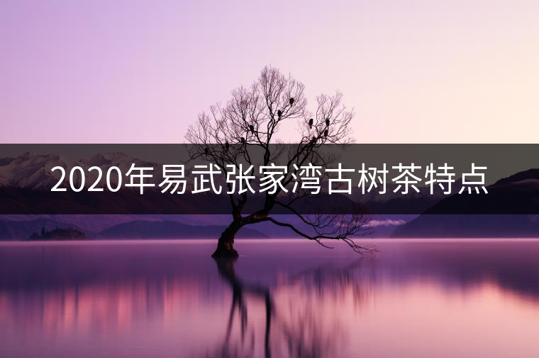 2020年易武張家灣古樹茶特點 2020年易武張家灣古樹茶特點