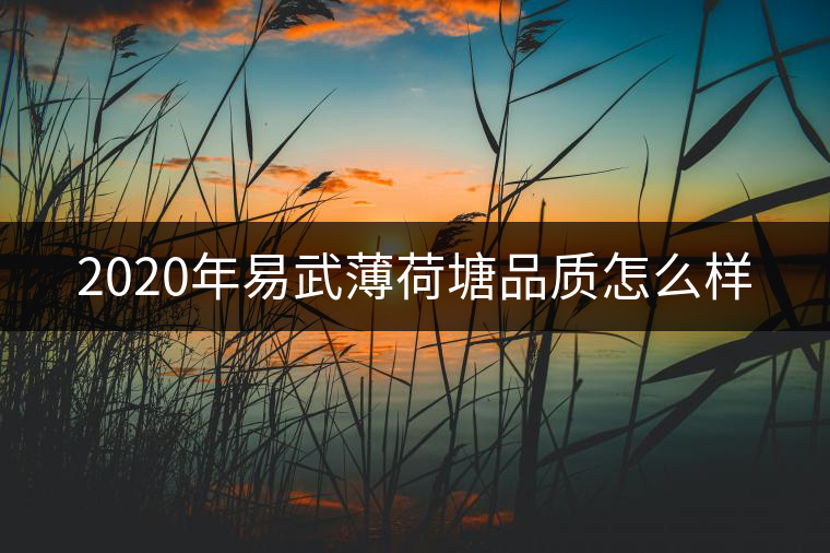 2020年易武薄荷塘品質(zhì)怎么樣 2020年易武薄荷塘品質(zhì)怎么樣